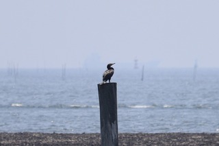 IMG_4637