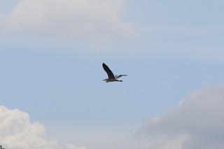 IMG_5680