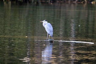 IMG_4686