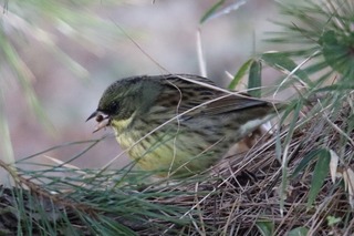 IMG_7871