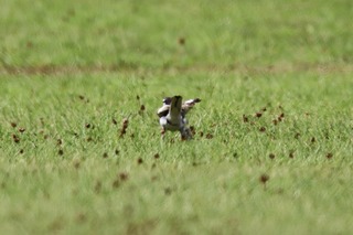IMG_5324
