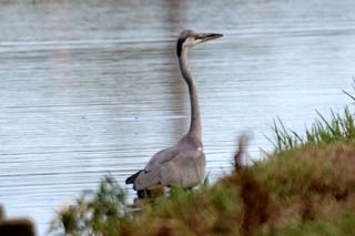 IMG_1030