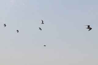 IMG_0076
