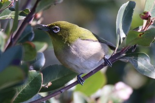 IMG_0065