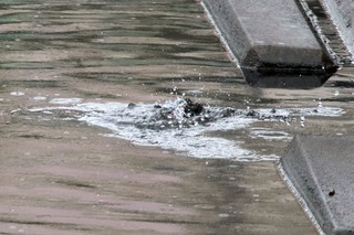 IMG_4205