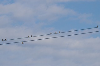 IMG_7840