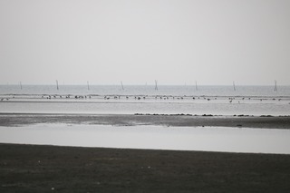 IMG_8508