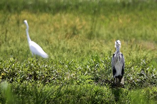 IMG_3846