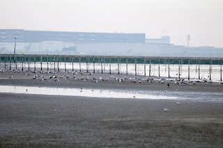 IMG_8015