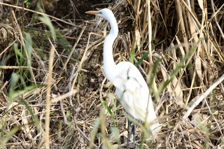 IMG_2941