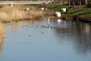 IMG_1674