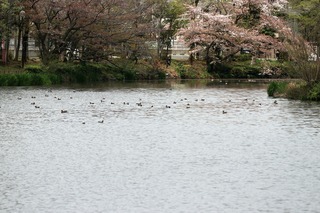 IMG_2841
