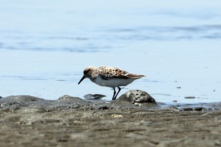 IMG_4144