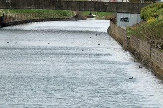 IMG_3324
