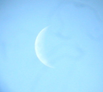 https://livedoor.blogimg.jp/vigies2005/imgs/5/b/5ba6be5f.jpg