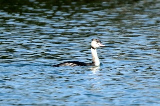 IMG_4382