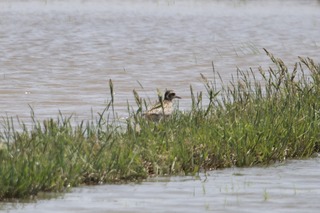 IMG_3941