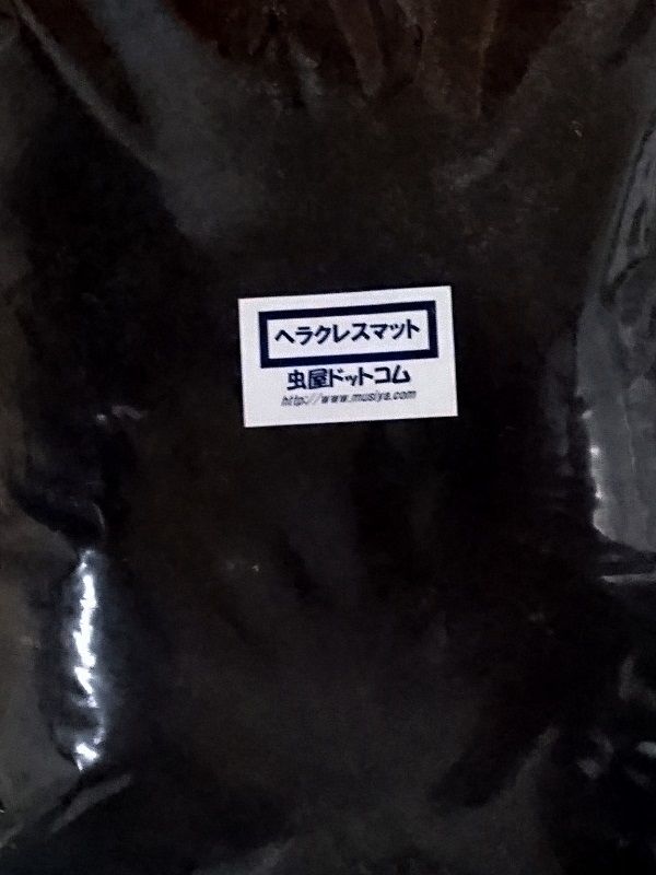 イメージ 1