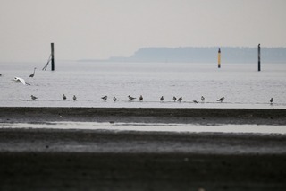 IMG_8402