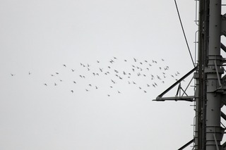 IMG_4055