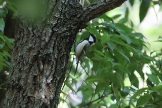 IMG_5720