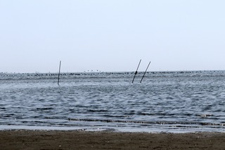 IMG_4869