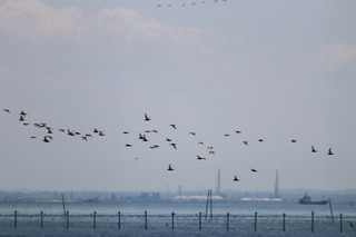 IMG_4126