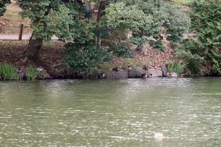 IMG_2338
