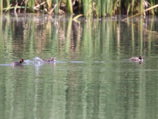 IMG_2796