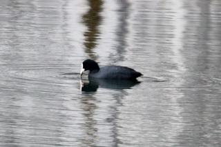 IMG_5085