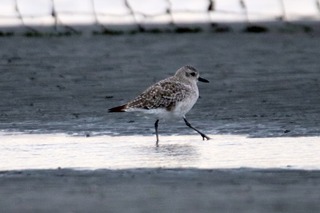 IMG_8033