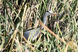 IMG_2295