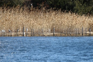 IMG_9449