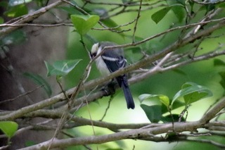 IMG_8757