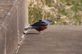 IMG_0760