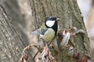IMG_2724