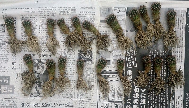 イメージ 3