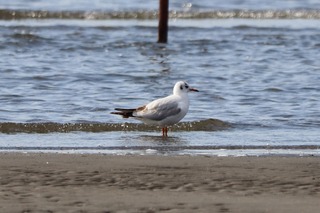 IMG_0101