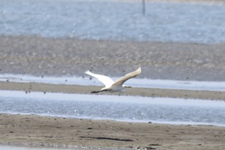 IMG_4702