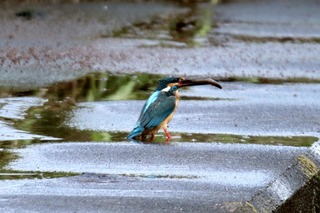 IMG_6843