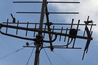 IMG_9205