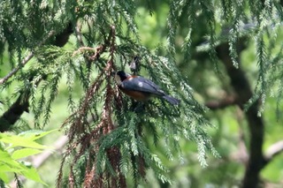 IMG_4023