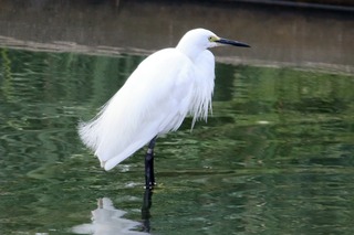 IMG_9657
