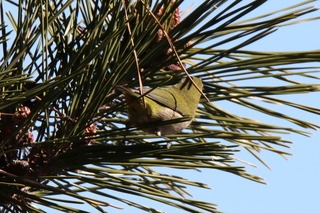 IMG_9979