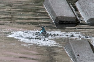 IMG_4206