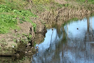 IMG_9550