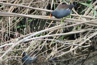 IMG_2820