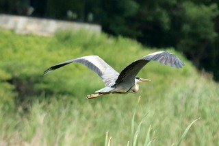 IMG_9183