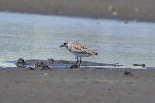 IMG_4312