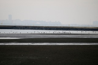 IMG_8366